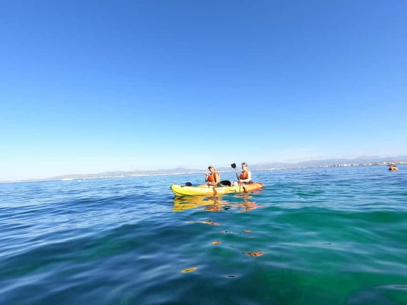 Mallorca: Kayak Rental - Is $23 a fair price?