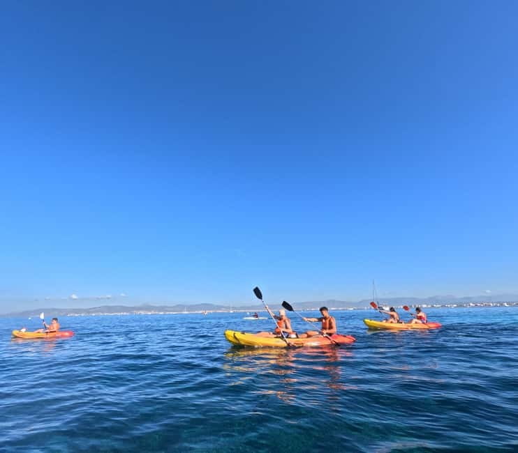 Mallorca: Kayak Rental - Should you book the Mallorca kayak rental?