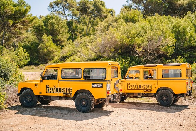 Mallorca: Kayaking, Sea Cave, Cliff Jumping & Snorkel Tour - Paddling along Mallorca’s coast