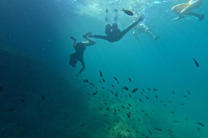 Mallorca: Kayaking, Sea Cave, Cliff Jumping & Snorkel Tour - Coastal walking and the optional cliff jump