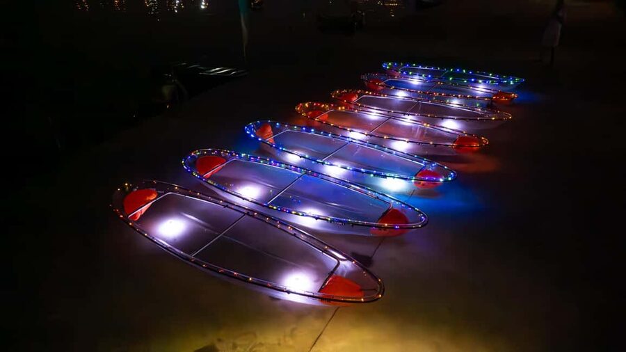 Malta: Illuminated Night Kayak Tour - Glow In The Dark - How much marine life can you expect?