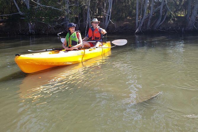 Manatee and Dolphin Kayaking | Wildlife Refuge (Titusville) - What the Haulover Canal setting gives you