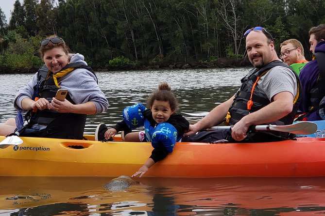 Manatee and Dolphin Kayaking | Wildlife Refuge (Titusville) - Following manatees through the canal