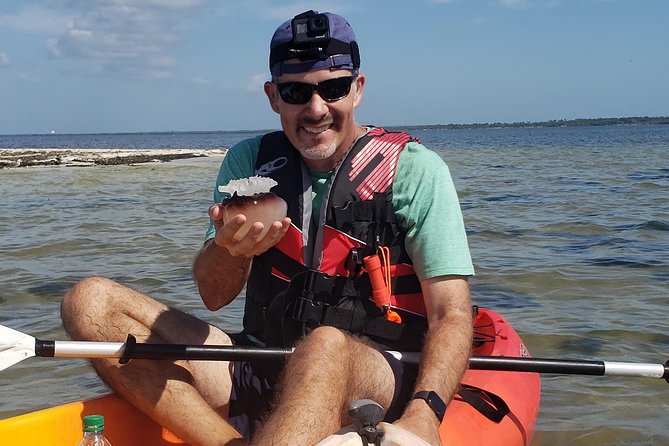 Manatee and Dolphin Kayaking | Wildlife Refuge (Titusville) - Who should book this kayak tour?