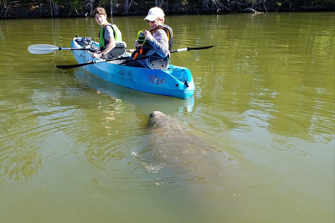 Manatee and Dolphin Kayaking | Wildlife Refuge (Titusville) - Starting out with Florida Adventurer