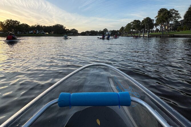 Manatee Season Clear Kayak Tour of Tarpon Springs - What makes this Tarpon Springs kayak tour worth your time