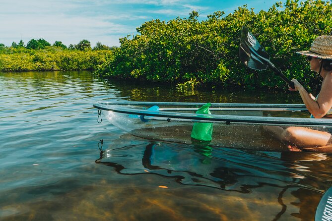 Manatee Season Clear Kayak Tour of Tarpon Springs - Craig Park and Tarpon Springs’ old homes