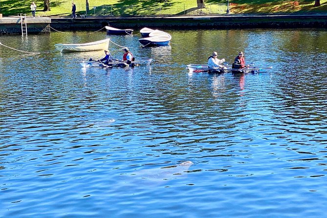 Manatee Season Clear Kayak Tour of Tarpon Springs - Spring Bayou and the search for manatees