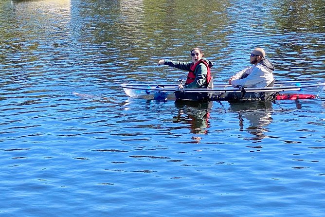 Manatee Season Clear Kayak Tour of Tarpon Springs - Is $79 a fair price?