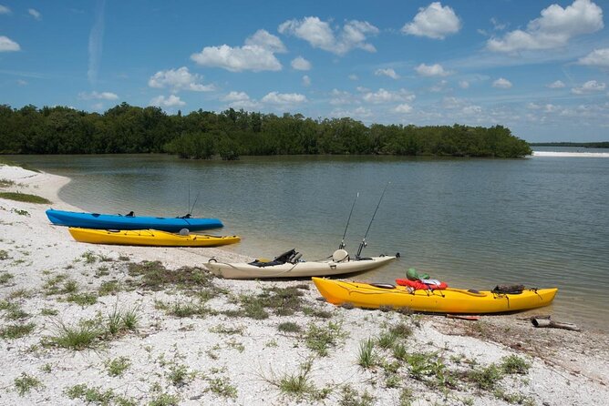 Manatees and Mangrove Tunnels Small Group Kayak Tour - Key points at a glance