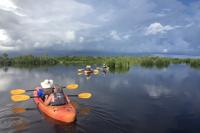 Manatees and Mangrove Tunnels Small Group Kayak Tour - Why this route works so well near Naples