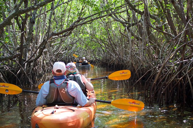 Manatees and Mangrove Tunnels Small Group Kayak Tour - Four miles through mangrove tunnels