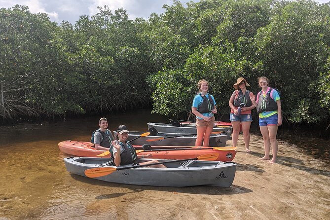 Manatees and Mangrove Tunnels Small Group Kayak Tour - The wildlife you may see along the way