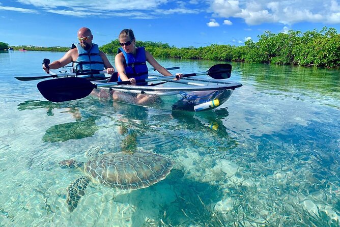 Mangrove Clear Kayak Tour - Key points to know before you book