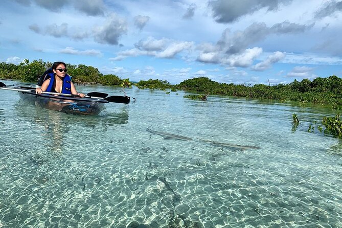 Mangrove Clear Kayak Tour - Clear kayaks and the first push across the channel