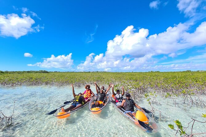 Mangrove Clear Kayak Tour - Who will enjoy this most?