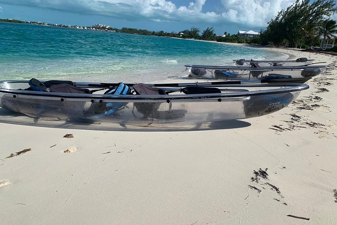 Mangrove & Iguana Clear Kayak Tour - Why the clear kayak makes this tour different