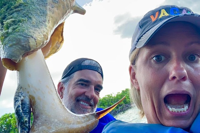 Mangrove & Iguana Clear Kayak Tour - Timing matters more than you might expect