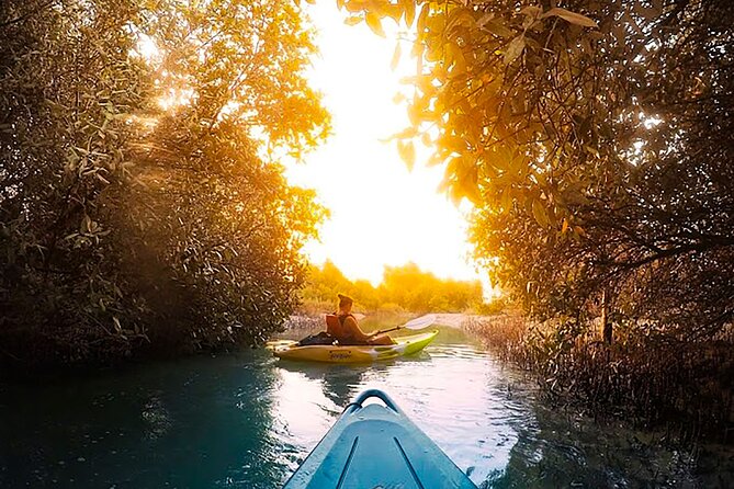 Mangrove Kayaking Abu Dhabi - Key points to know before booking