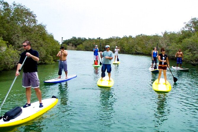 Mangrove Kayaking Abu Dhabi - Pickup, timing, and the Abu Dhabi heat