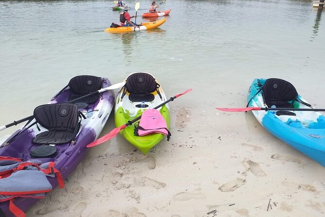 Mangrove Kayaking Abu Dhabi - Is $102.74 a fair price?
