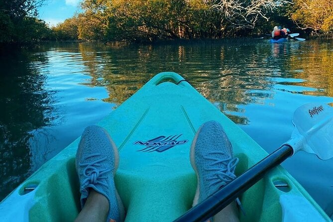 Mangrove Kayaking Abu Dhabi - The guide can shape the whole outing