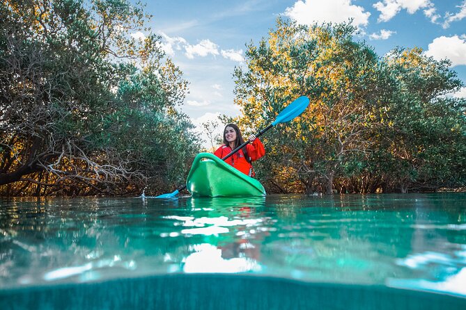 Mangrove Kayaking Abu Dhabi - Why Abu Dhabi’s mangroves matter