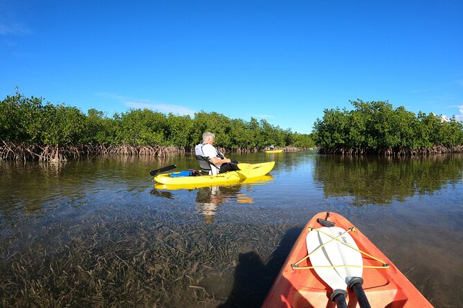 Mangrove Tunnel Kayak Adventure in Key Largo - The mangrove route: calm water with a few tricky turns