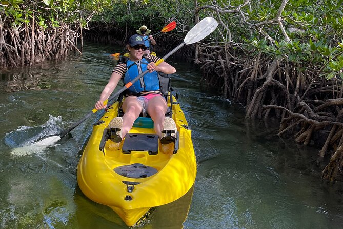 Mangrove Tunnel Kayak Adventure in Key Largo - Is $68 a fair price?