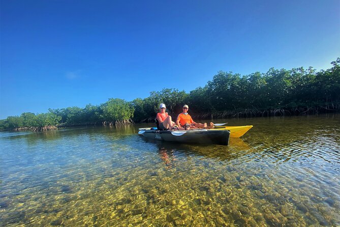 Mangrove Tunnel Kayak Adventure in Key Largo - Who will enjoy this Key Largo kayak trip?