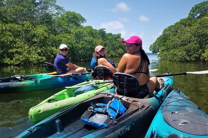 Mangrove Tunnel Kayak Adventure in Key Largo - What happens during the three-hour outing