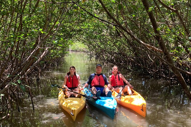 Mangrove Tunnel Kayak Eco Tour - Paddling through the mangrove tunnels