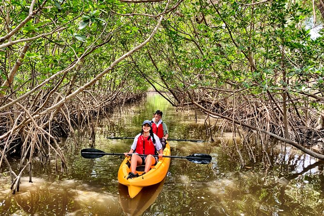 Mangrove Tunnel Kayak Eco Tour - What the $75 price includes