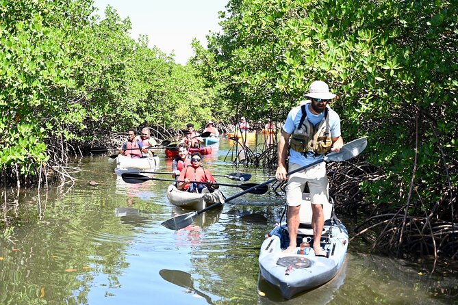 Mangrove Tunnel Kayak Eco Tour - Timing, booking, and practical planning