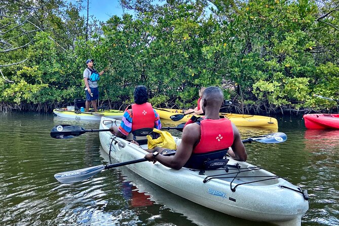 Mangrove Tunnel Kayak Eco Tour - Getting started with a safety briefing and practice paddle