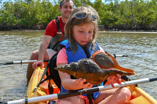 Mangrove Tunnels & Mudflats Kayak Tour - Local Biologist Guides - Why the biologist guides make a difference