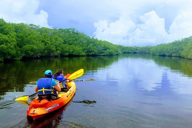Mangroves and Manatees - Guided Kayak Eco Tour - Starting at Tavernier Creek with the right expectations