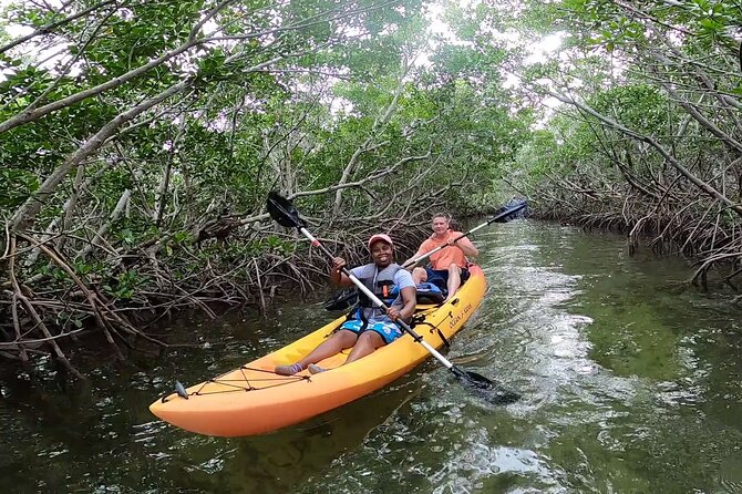 Mangroves and Manatees - Guided Kayak Eco Tour - Wildlife sightings, from manatees to iguanas