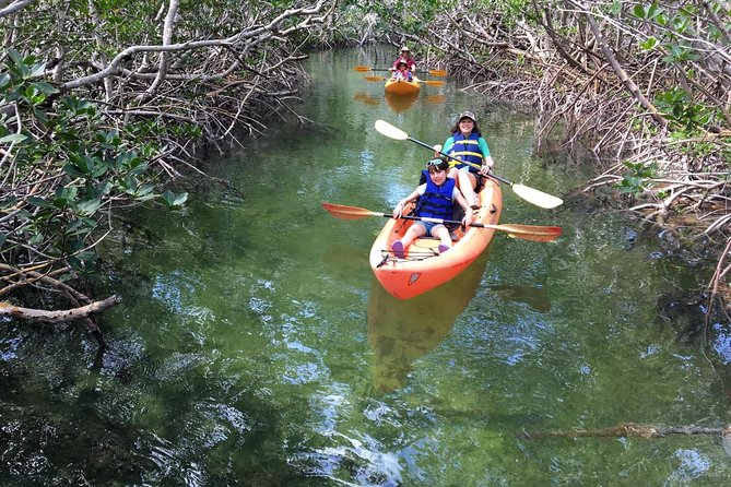 Mangroves and Manatees - Guided Kayak Eco Tour - Is $69 good value for two hours?