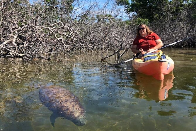 Mangroves and Manatees - Guided Kayak Eco Tour - What to bring for a sunny Florida Keys paddle
