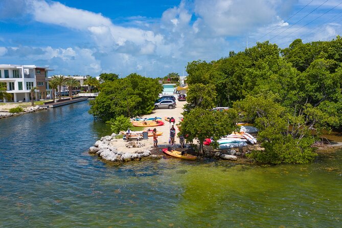 Mangroves and Manatees - Guided Kayak Eco Tour - Families, couples, and mixed-age groups