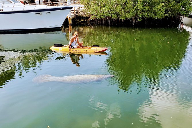 Mangroves and Manatees - Guided Kayak Eco Tour - Entering the mangrove tunnels
