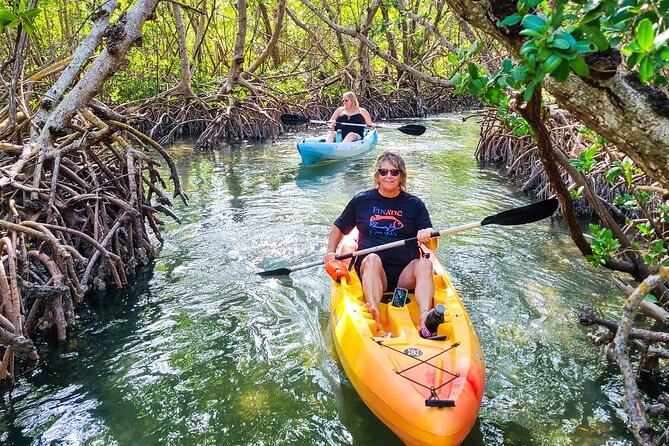 Mangroves, Manatees, and a Hidden Beach: Kayak Tour - Starting at Turtle Beach on Sarasota Bay