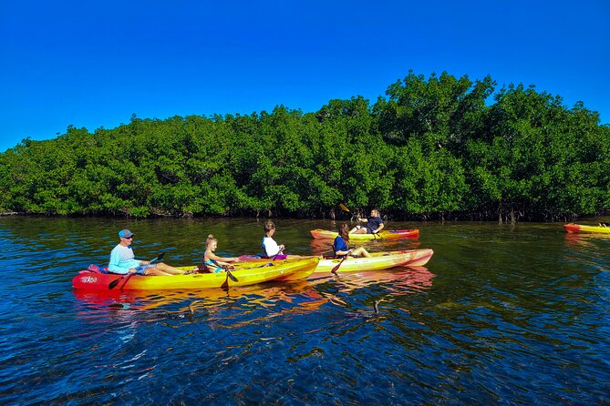 Mangroves, Manatees, and a Hidden Beach: Kayak Tour - The beach or sandbar at Midnight Pass