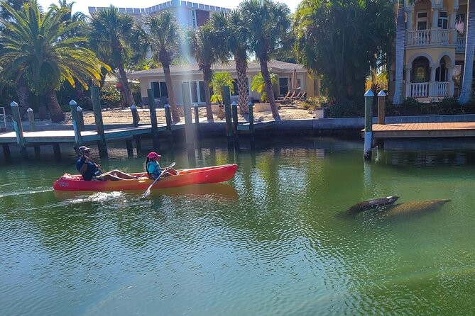 Mangroves, Manatees, and a Hidden Beach: Kayak Tour - Who will enjoy this Sarasota outing most?