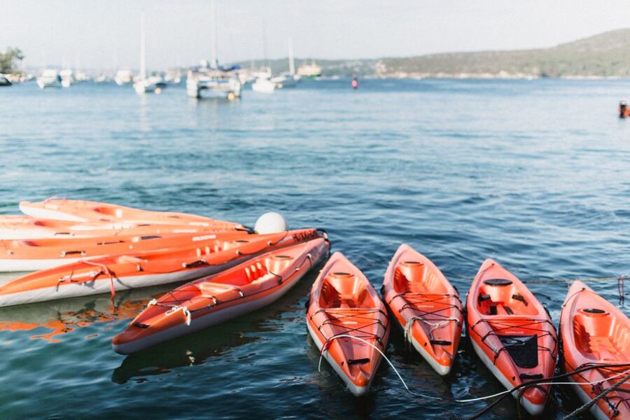 Manly: Mini Kayak Tour on Sydney's North Harbour - Key points to know before booking