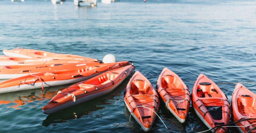 Manly: Mini Kayak Tour on Sydney's North Harbour - A gentle paddle through Manly Cove and North Harbour