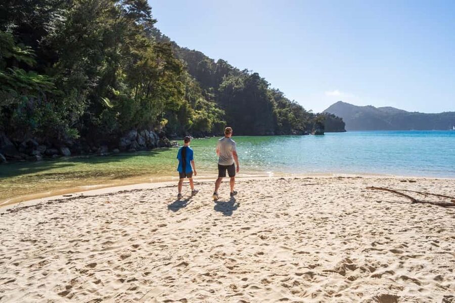 Marahau: Abel Tasman Kayaks Kayak and Walk - Watching for seals near Adele Island