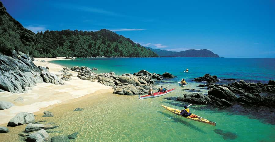 Mārahau: Abel Tasman Marine Reserve Kayak Tour - Fur seals, dolphins, and responsible wildlife watching