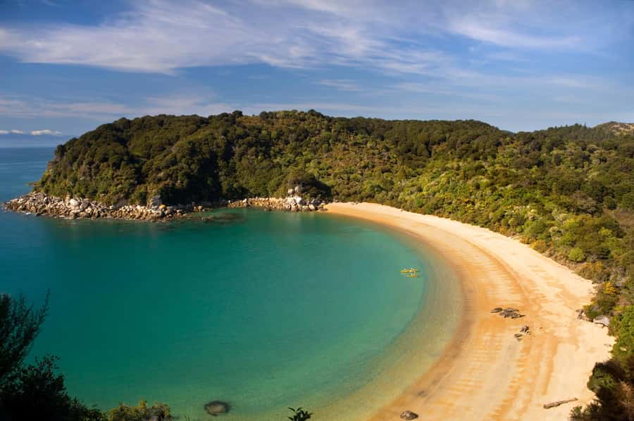 Mārahau: Abel Tasman Marine Reserve Kayak Tour - Who should book this tour?